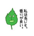 だって野菜だもの（個別スタンプ：40）
