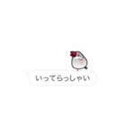 ふきだし文鳥（個別スタンプ：5）