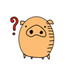 いのぶた（個別スタンプ：40）