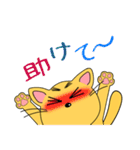 やんちゃ猫（個別スタンプ：24）