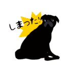 黒パグのDOM。[RG]（個別スタンプ：4）