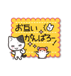 こにゃんこスタンプ（個別スタンプ：35）