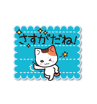 こにゃんこスタンプ（個別スタンプ：37）