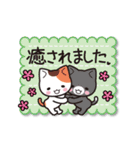 こにゃんこスタンプ（個別スタンプ：40）