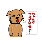 犬のポチ 漫才編（個別スタンプ：8）