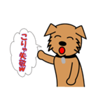 犬のポチ 漫才編（個別スタンプ：9）