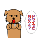 犬のポチ 漫才編（個別スタンプ：22）