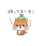 こそどろねこ（個別スタンプ：11）