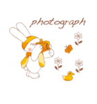 funny bunny (English version)（個別スタンプ：28）