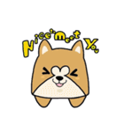 (B.B.B) ss1 シバマルの留守番物語（個別スタンプ：1）