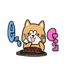 (B.B.B) ss1 シバマルの留守番物語（個別スタンプ：3）