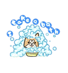 (B.B.B) ss1 シバマルの留守番物語（個別スタンプ：7）