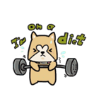 (B.B.B) ss1 シバマルの留守番物語（個別スタンプ：20）