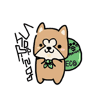 (B.B.B) ss1 シバマルの留守番物語（個別スタンプ：24）