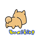 (B.B.B) ss1 シバマルの留守番物語（個別スタンプ：32）