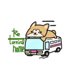 (B.B.B) ss1 シバマルの留守番物語（個別スタンプ：33）