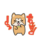 (B.B.B) ss1 シバマルの留守番物語（個別スタンプ：37）