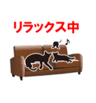 黒猫親子（個別スタンプ：23）