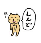 ゆるねこ in 大阪（個別スタンプ：34）
