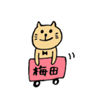 ゆるねこ in 大阪（個別スタンプ：37）