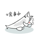 しらすくん（個別スタンプ：26）