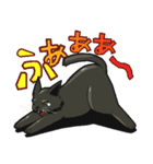 黒猫のあかり（個別スタンプ：6）