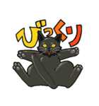 黒猫のあかり（個別スタンプ：24）