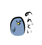 ことりの日常（個別スタンプ：13）