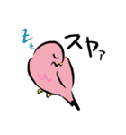 ことりの日常（個別スタンプ：24）
