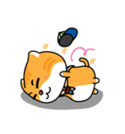 Little Tiger ＆ White Cat（個別スタンプ：19）