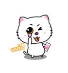 Little Tiger ＆ White Cat（個別スタンプ：23）