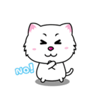 Little Tiger ＆ White Cat（個別スタンプ：25）