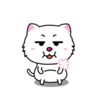 Little Tiger ＆ White Cat（個別スタンプ：30）