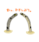 チンアナゴーズ（個別スタンプ：2）