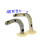 チンアナゴーズ（個別スタンプ：8）
