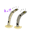 チンアナゴーズ（個別スタンプ：21）