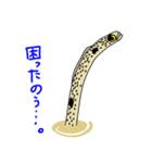 チンアナゴーズ（個別スタンプ：24）