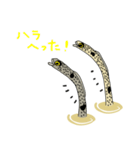 チンアナゴーズ（個別スタンプ：27）
