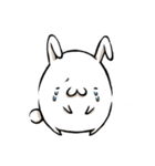 小さな白いウサギ（個別スタンプ：7）