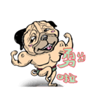 PINK PHANG PHANG（個別スタンプ：12）