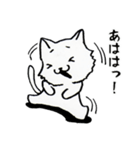 あいづちにゃんこ（個別スタンプ：40）