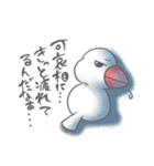 白文鳥のもっちー（個別スタンプ：5）
