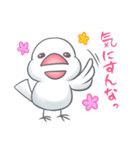 白文鳥のもっちー（個別スタンプ：9）
