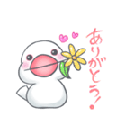 白文鳥のもっちー（個別スタンプ：17）