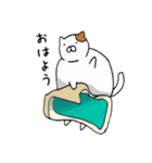 ぽちゃねこ（個別スタンプ：15）