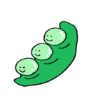 野菜ブラザーズ（個別スタンプ：37）