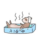 フェレットさん（個別スタンプ：3）