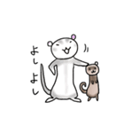 フェレットさん（個別スタンプ：33）