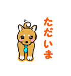 わんすた（個別スタンプ：5）