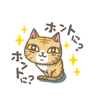 茶トラにゃんこ（個別スタンプ：14）